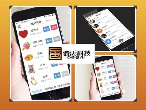 漳州軟件外包與APP開發(fā) 聚焦IM即時(shí)通訊應(yīng)用的專業(yè)服務(wù)